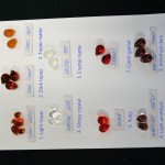 Échantillon de couleur raisin en verre mat/brillant 1