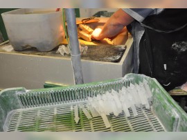 Handmade crystal prisms